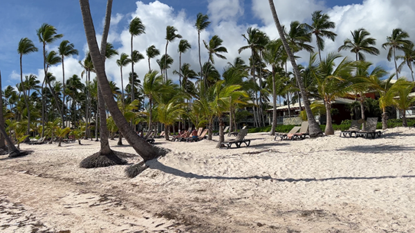 Barceló Bavaro Palace HONEST Review – NittyGrittyTravelers